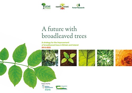 NTIS A future with broadleaved trees